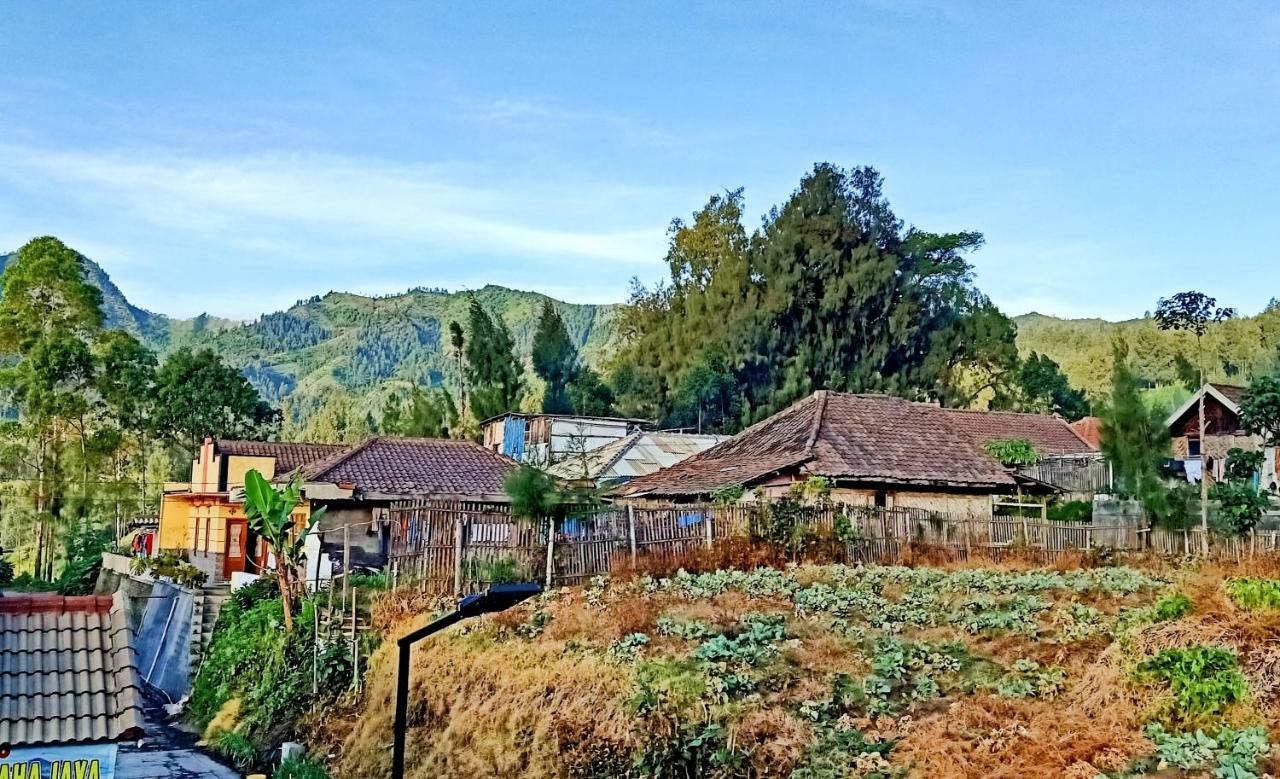 Homestay Anggun Bromo Buitenkant foto